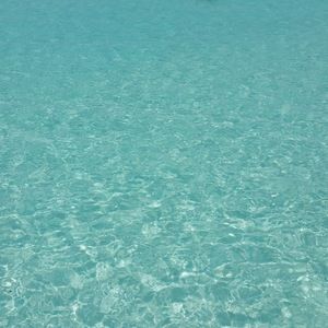 Meet your Posher, Kerry